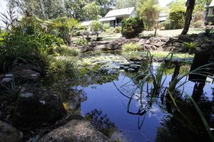 Bendles Cottages and Country Villas - Accommodation Mooloolaba