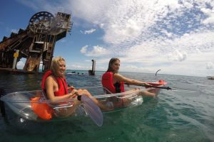 Moreton Island Day Trip Kayak Snorkel  Sandboard frm Brisbane or Gold Coast - Accommodation Mooloolaba