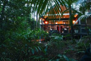 Songbirds Rainforest Retreat - Accommodation Mooloolaba